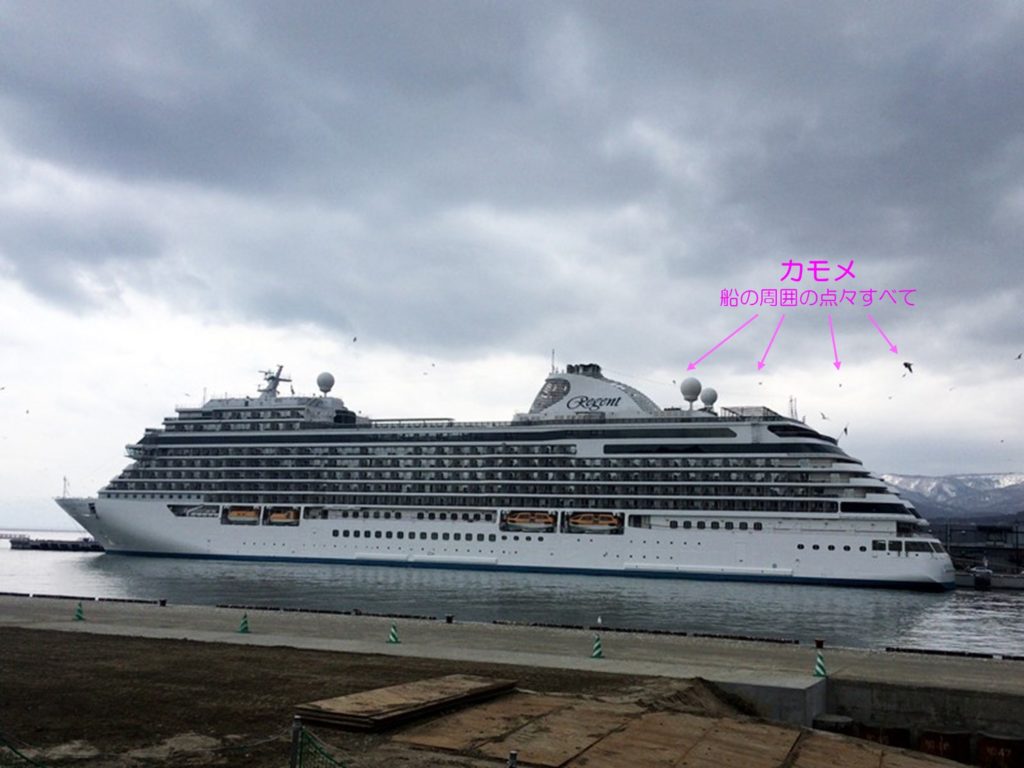 Seven Seas Explorer in Otaru